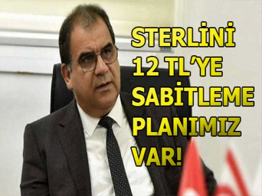 Faiz Sucuoğlu: "Sterlini 12 TL’ye sabitleme planımız var"
