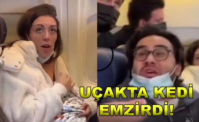 Uçakta kedi emziren kadın sosyal medyanın gündemine oturdu