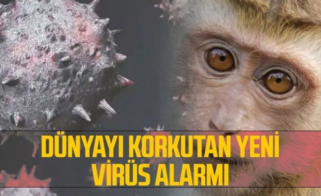 Avrupa’da maymun çiçeği virüsü alarmı: Büyük bir salgın haline gelebilir