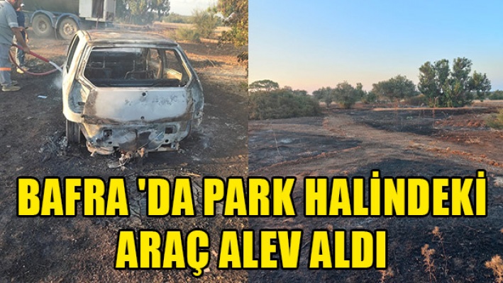 Bafra 'da park halindeki araç alev aldı