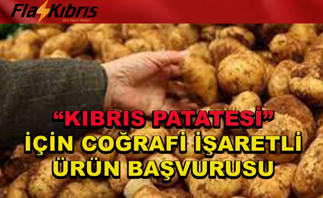 “Kıbrıs patatesi” için coğrafi işaretli ürün başvurusu
