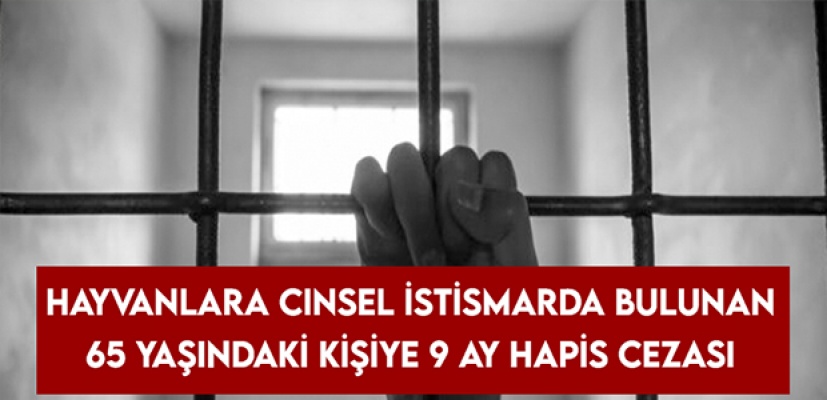 Hayvanlara cinsel saldırıda bulundu; 9 ay hapis yatacak! Hayvanlara cinsel saldırıda bulundu; 9 ay hapis yatacak!