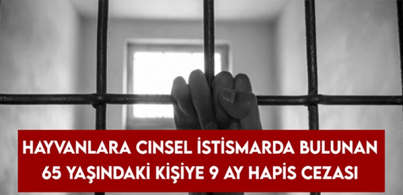 Hayvanlara cinsel saldırıda bulundu; 9 ay hapis yatacak!