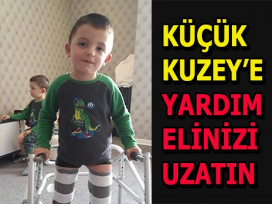 KUZEY İÇİN EL ELE VERELİM