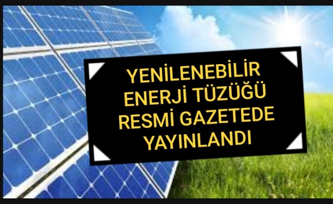 Yenilenebilir Enerji tüzüğü Resmi Gazete'de yayımlandı