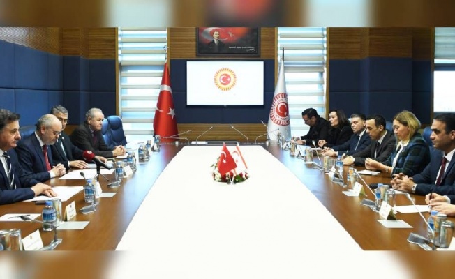 TBMM Dışişleri Komisyonu kabul etti: Türkiye ile KKTC arasında 'ehliyet' kanunu