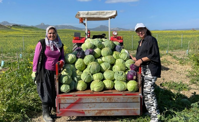 Kurtuluş köyünde sulu tarım meyvelerini verdi