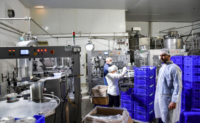 Uluşan, Koop Üretim Tesisleri’nde denetimlere başladı