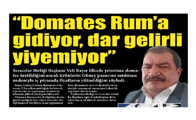 Üretici 2 Euro'dan domatesi Güney'e satıyor Üretici 2 Euro'dan domatesi Güney'e satıyor
