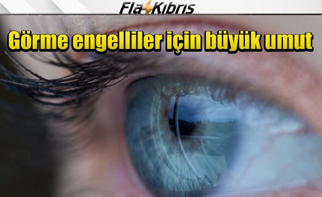 ABD'de 14 yaşındaki gencin ilk kez görmesini sağlayan gen tedavisi görme engellilere umut olabilir