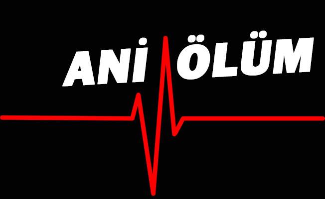 Ani ölüm Ani ölüm