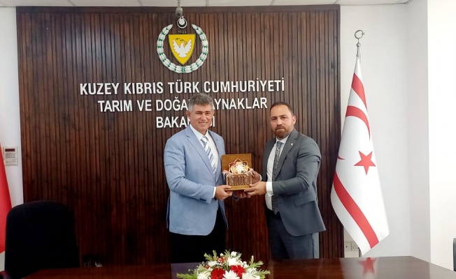 Çavuş, Büyükelçi Feyzioğlu ile bir araya geldi