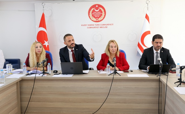 İdari, Kamu ve Sağlık İşleri Komitesi toplandı