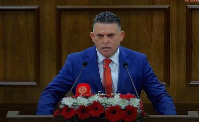 Karanfil: Anavatanımız ile daha nice yüzyıllara Karanfil: Anavatanımız ile daha nice yüzyıllara