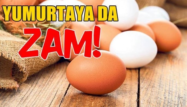KKTC'de yumurtaya okkalı zam