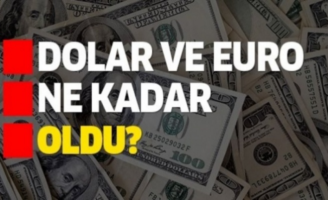 Günün döviz kurları Günün döviz kurları