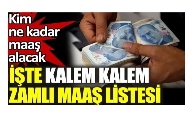 Kamuda maaşlar belli oldu