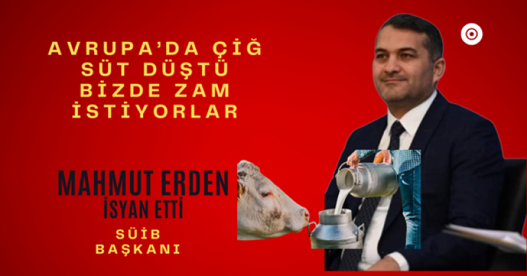 Kimse Tosun 170, Kuzu 250 Liraya Çıktığından Bahsetmiyor
