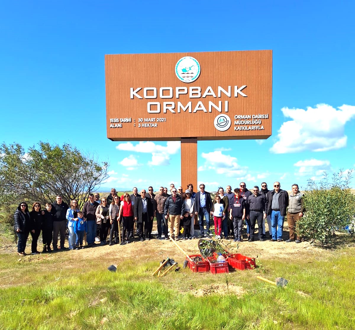 Koop Bank'dan  fidan dikimi seferberliği