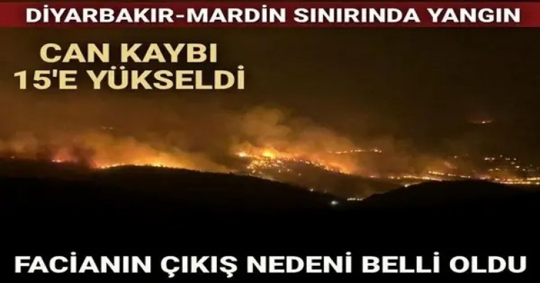 Diyarbakır-Mardin sınırındaki yangında can kaybı 15'e yükseldi | Bilirkişi raporu: Yangın elektrik direği kaynaklı