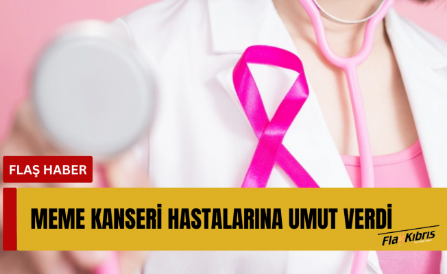 Meme kanseri tümörlerini tek dozda temizleyebilecek tedavi geliştirildi
