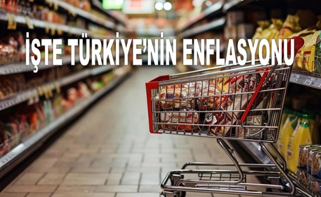 Türkiye'nin Aralık ayı enflasyonu belli oldu: 1,03
