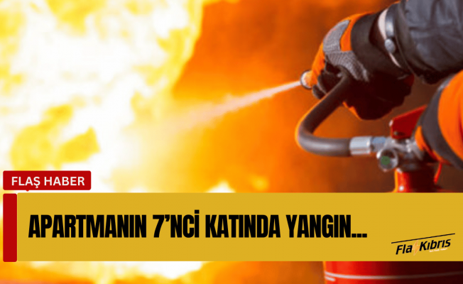 4 köpek, 2 kedi yaralandı