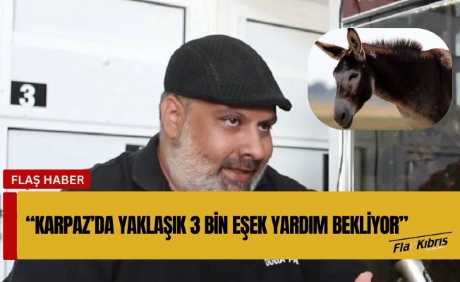 Basat: Karpaz’da yaklaşık 3 bin eşek yardım bekliyor