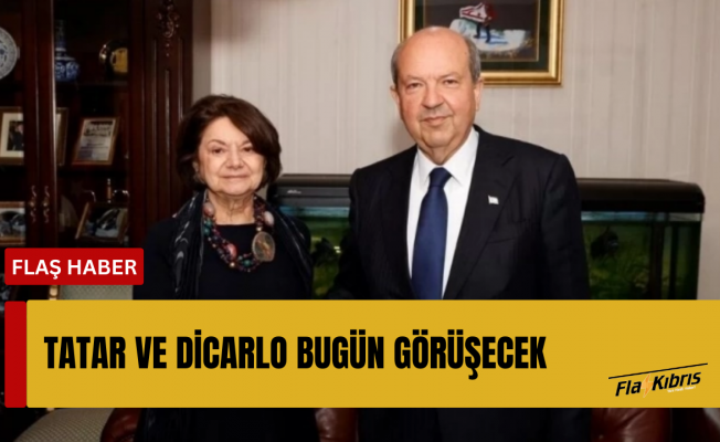 Cumhurbaşkanı Tatar, DiCarlo’yu kabul edecek