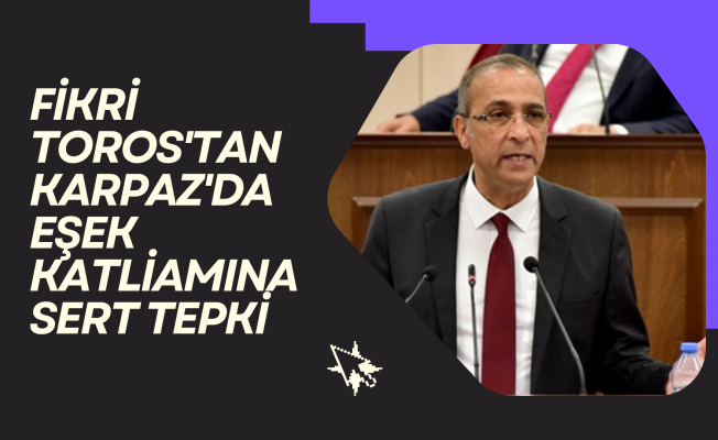 Hükümet Hayvan Haklarını Koruyacak Yasal Düzenlemelerin Gerekliliğini Göz Ardı Etti