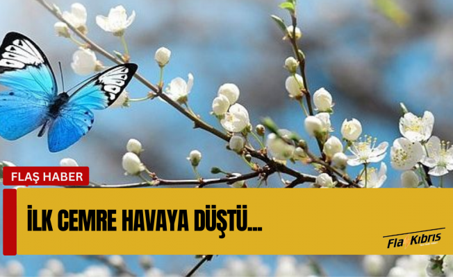 İlk cemre havaya düştü