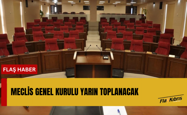 Meclis Genel Kurulu yarın toplanacak