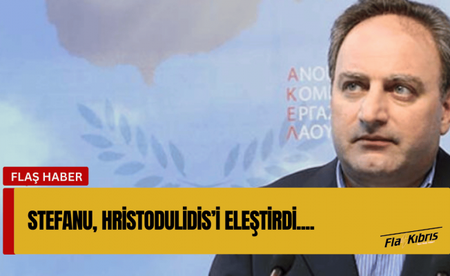Stefanos Stefanu: Kıbrıs sorununda girişim üstlenmesi gereken Kıbrıs Rum tarafıdır