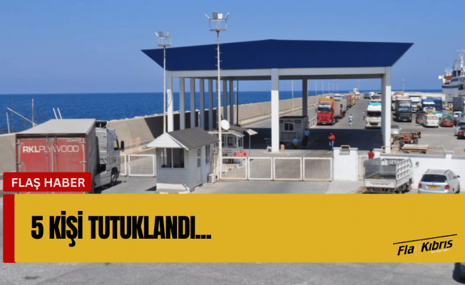 Yabancı uyruklu 7 kişiyi TIR dorsesinde ülkeye getirdiler