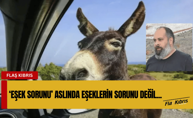 Basat: ‘Eşek sorunu’ aslında eşeklerin sorunu değil