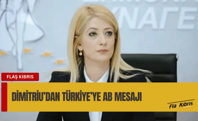 Dimitriu: Türkiye, AB sürecinin ve savunma politikasına katılımının Kıbrıs sorunundan geçtiğini anlamalı