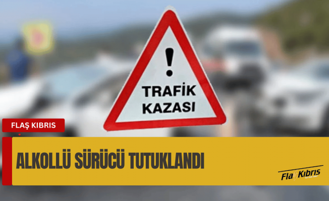 Direksiyon hakimiyetini kaybetti, elektrik direğine çarptı