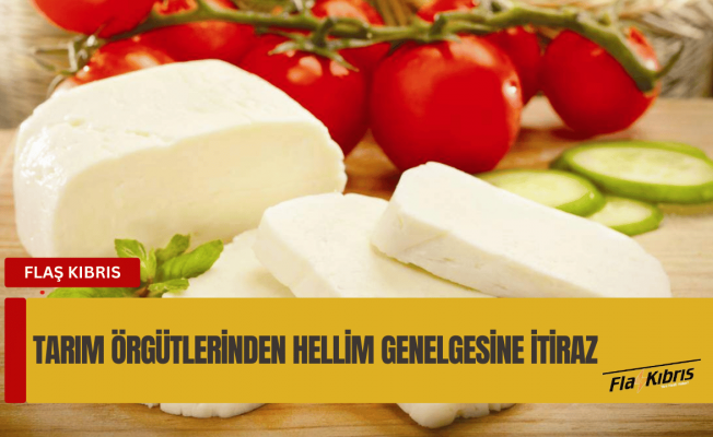 Güney Kıbrıs’taki tarım örgütlerinden hellim genelgesine itiraz