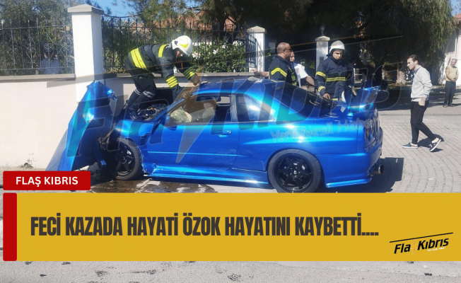 Hayati Özok hayatını kaybetti Hayati Özok hayatını kaybetti