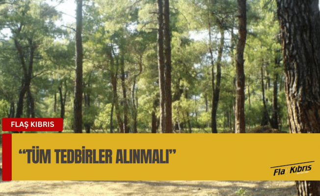 KEMA’dan "yangın mevsimi" uyarısı: Tüm tedbirler alınmalı