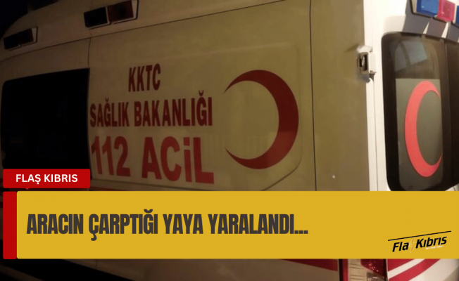Koşarak karşıya geçmeye çalışan yayaya araç çarptı, sürücü tutuklandı