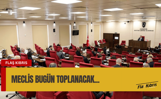 Meclis denetim göreviyle toplanacak