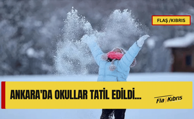 Ankara'da kar yağışı nedeniyle yarın okullar tatil edildi