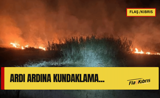 Derinya ara bölgede ardı ardına kundaklama!