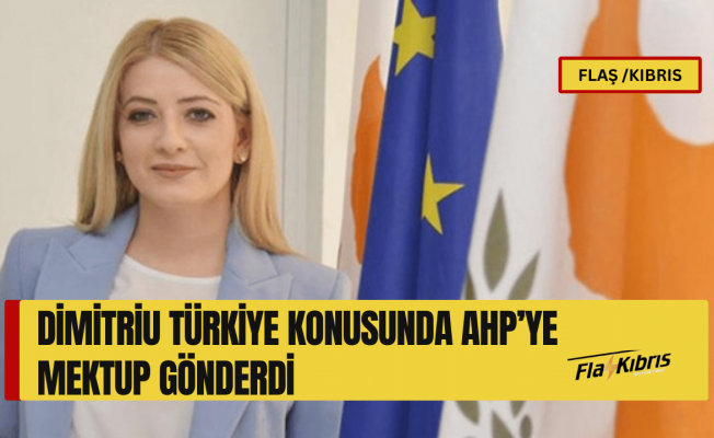 DİSİ Başkanı Dimitriu Türkiye konusunda AHP’ye mektup gönderdi