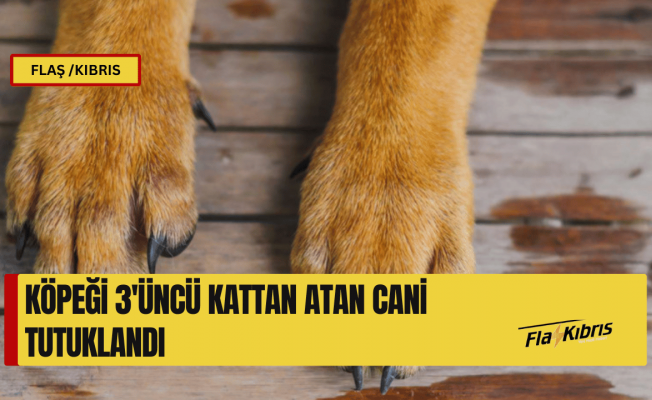 Köpeği 3’üncü kattan aşağıya atan cani tutuklandı!