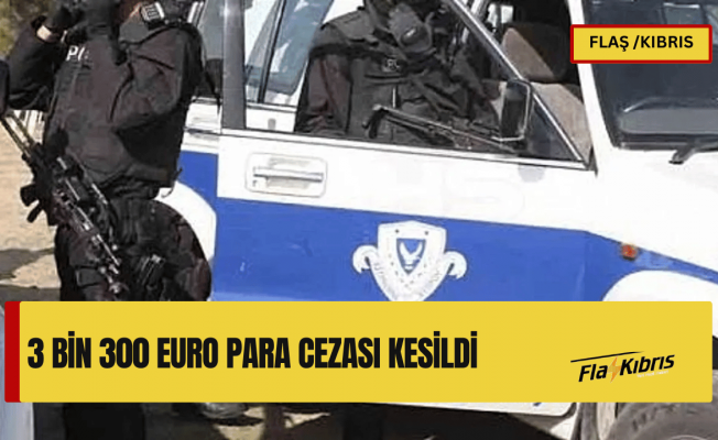 Pile’de bir şahıs KKTC’den aldığı iddia edilen 64 kilo çiğ tavuk etiyle yakalandı