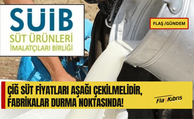 Süt Ürünleri İmalatçıları Birliği'nden hükümete çağr