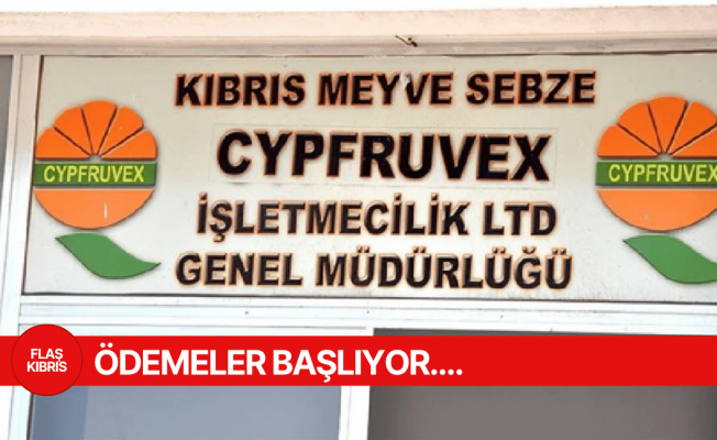 Cypfruvex narenciye ödemelerine başlıyor