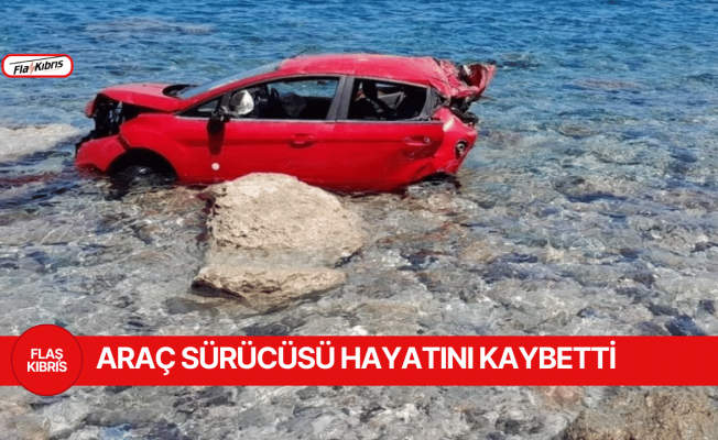 Feci olay: Park halindeki araç uçuruma yuvarlandı